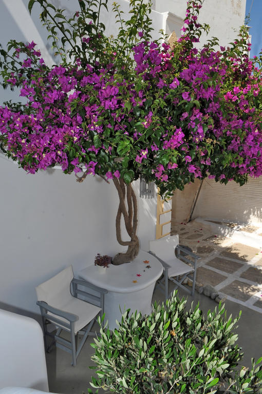 Eleftheria Veloudiou Tinos Exterior photo